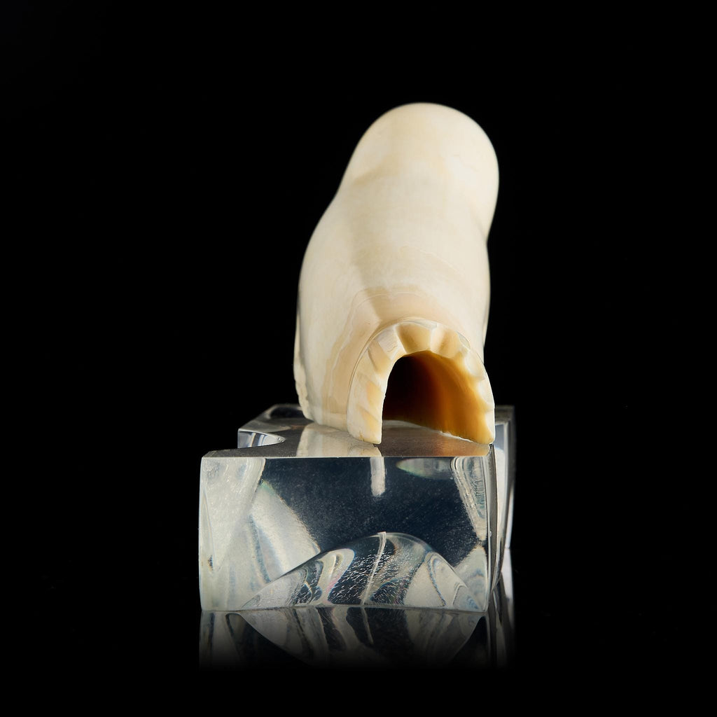 Vintage Inuit Bone Carving: Arctic Seal on Ice Floe | Yupik Alaskan Sculpture, Early-Mid 20th C.